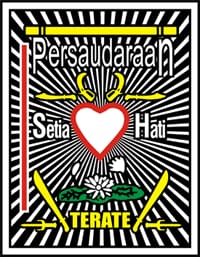 MEMAHAMI FUNGSI MEREK KELAS 41 DAN 25 PSHT DITENGAH DINAMIKA